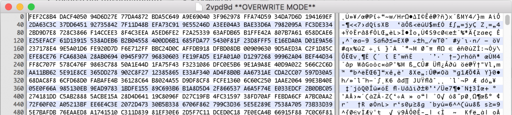 Anteprima hexdump malware